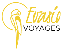 EVASIO - Logo - Noir